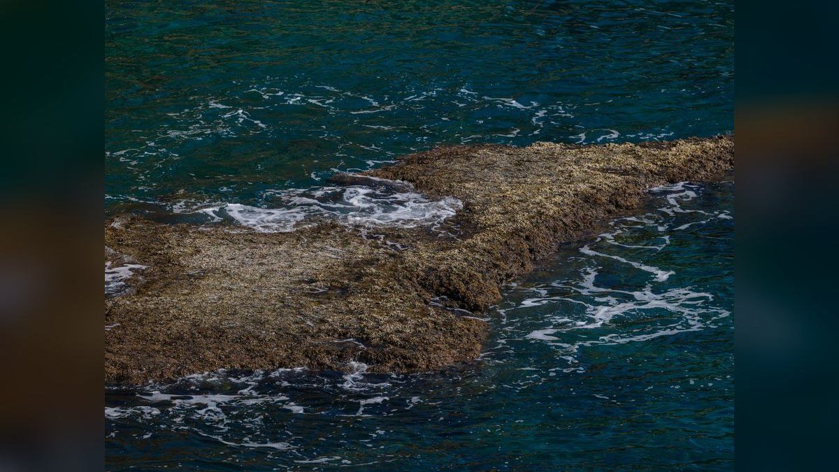 Top 10 Live Rock Curing Methods for Saltwater Tanks in 2027