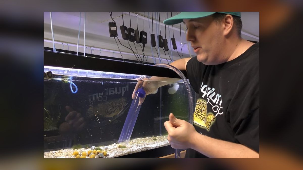 Top 10 Quarantine Tank Setup Mistakes in 2027 — figure 8