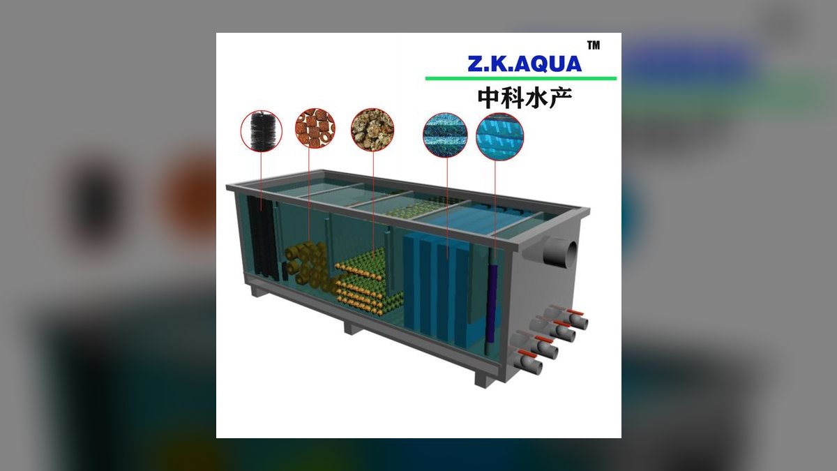 Top 10 Quarantine Tank Setup Mistakes in 2027