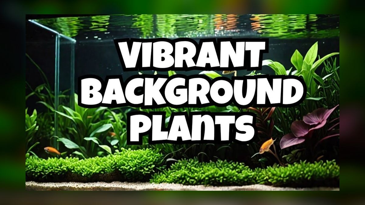 Top 10 Aquarium Backgrounds (3D vs Printed) in 2027 — figure 8