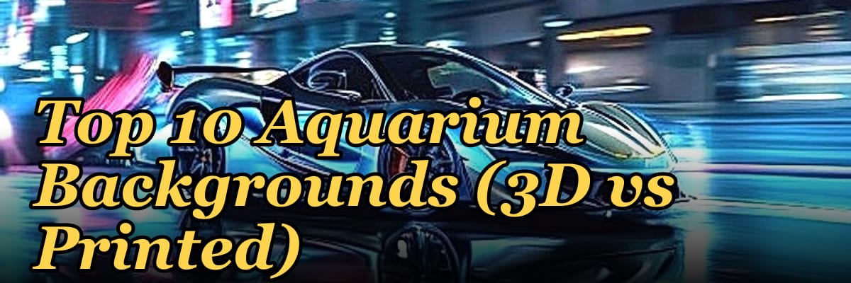 Top 10 Aquarium Backgrounds (3D vs Printed)