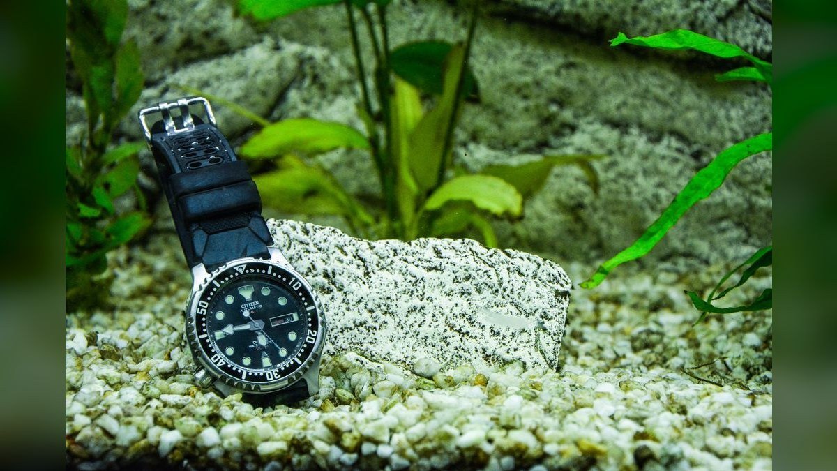 Top 10 Types of Aquarium Gravel for Cichlids in 2027