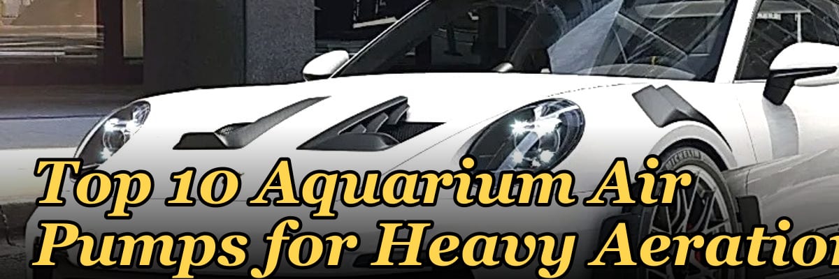 Top 10 Aquarium Air Pumps for Heavy Aeration