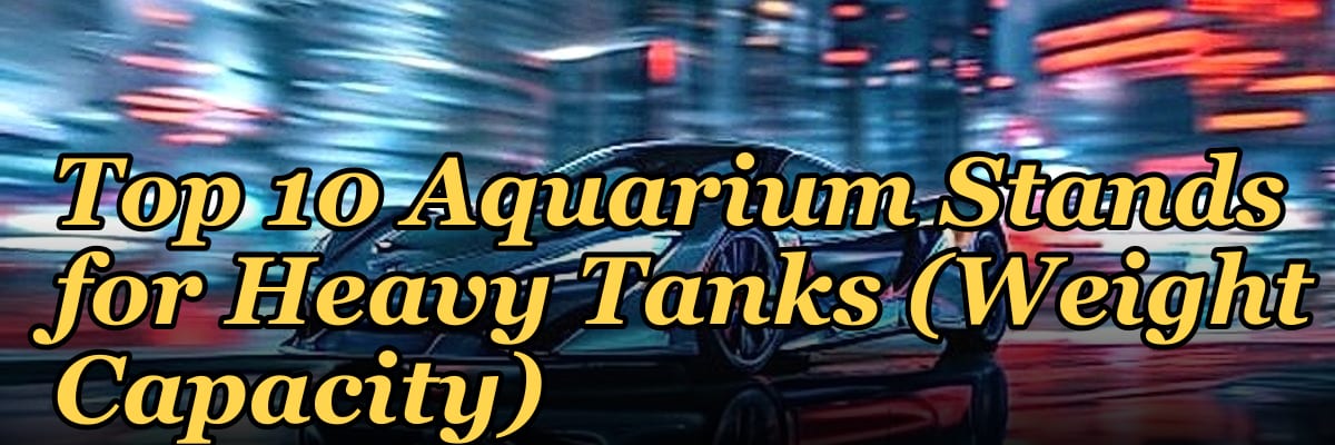 Top 10 Aquarium Stands for Heavy Tanks (Weight Capacity)
