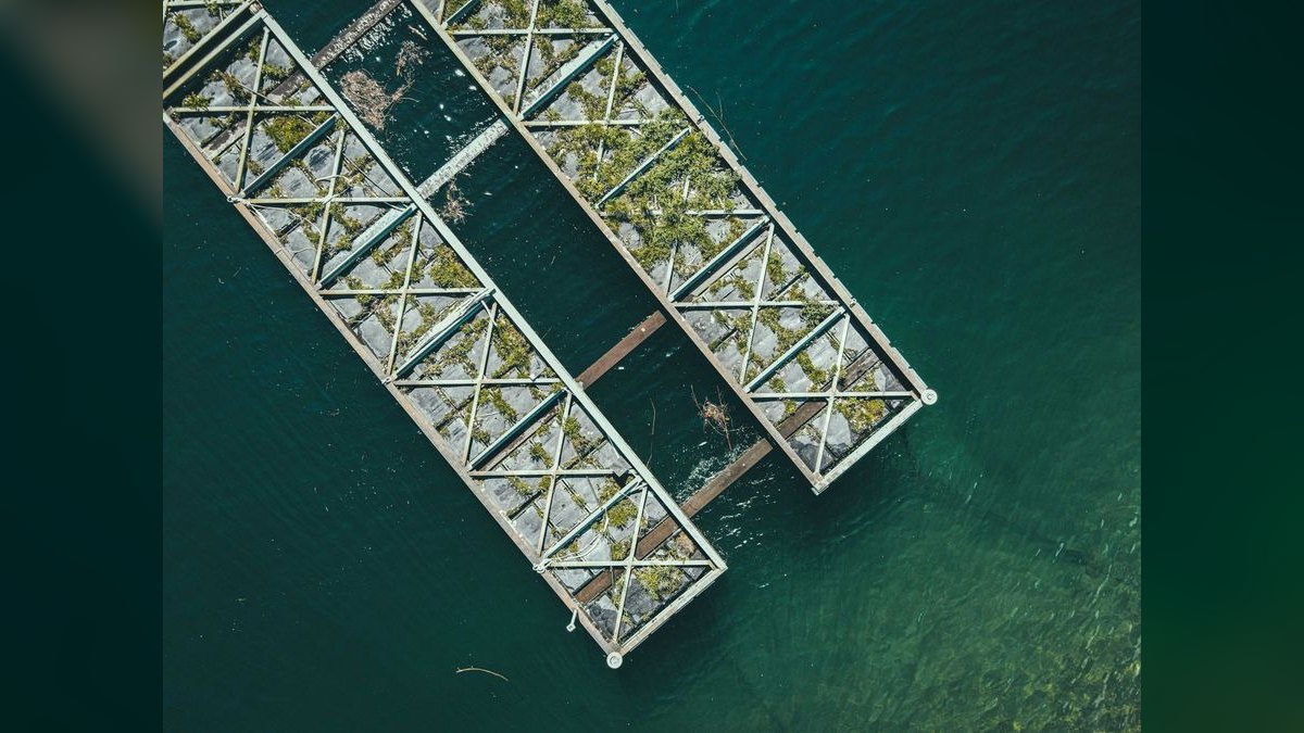 Top 10 Algae Scrubber Systems for Nutrient Control in 2027