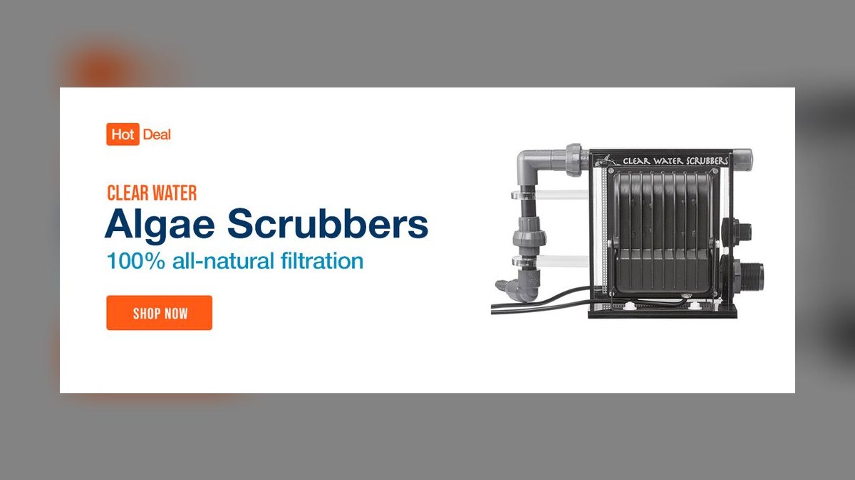Top 10 Algae Scrubber Systems for Nutrient Control in 2027