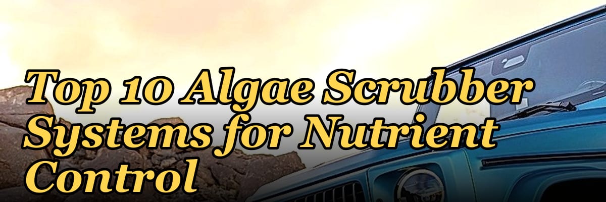 Top 10 Algae Scrubber Systems for Nutrient Control