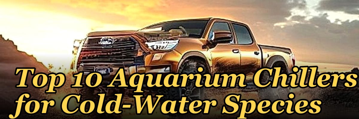 Top 10 Aquarium Chillers for Cold-Water Species
