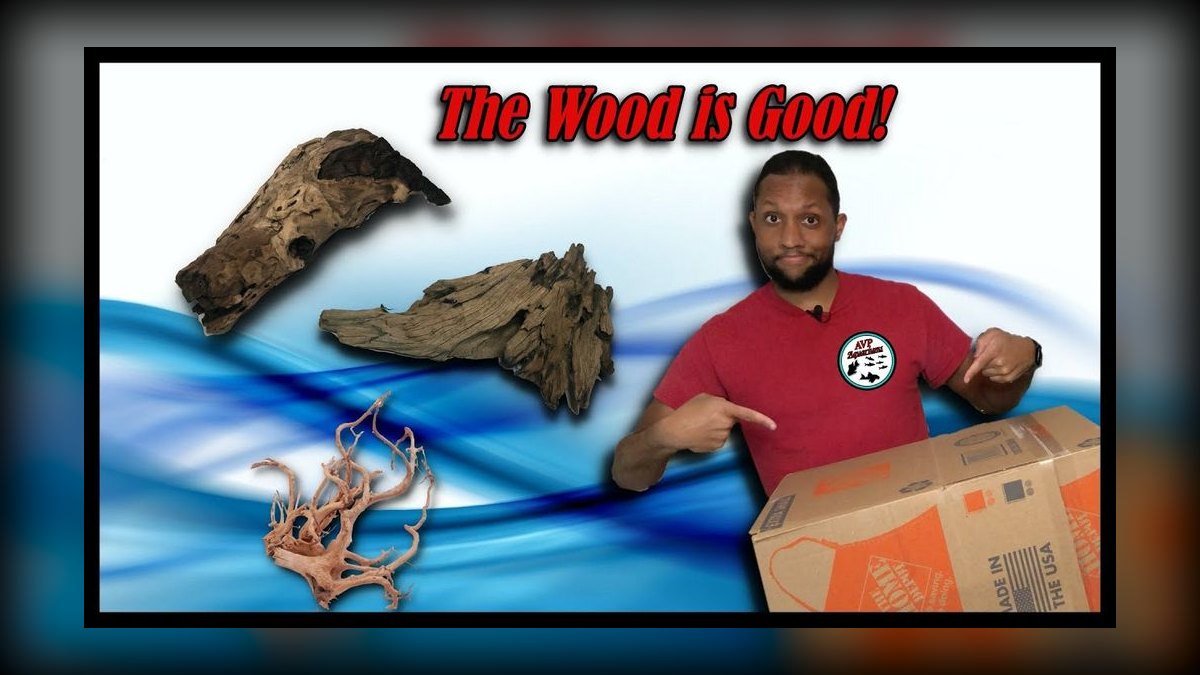 Top 10 DIY Aquarium Background Materials in 2027 — figure 10
