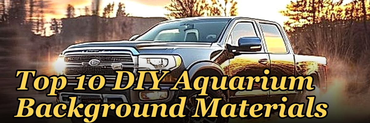 Top 10 DIY Aquarium Background Materials