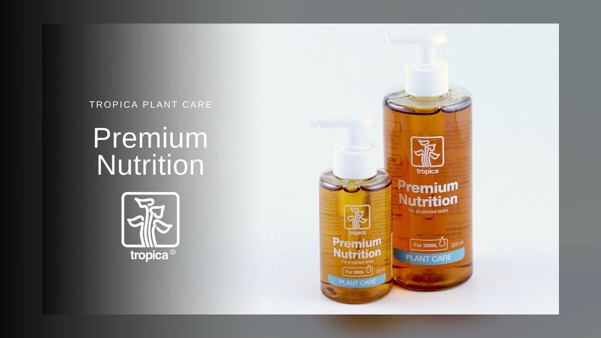 Top 10 Aquarium Plant Fertilizer Brands in 2027 — figure 4