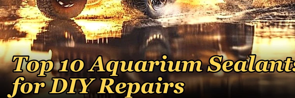 Top 10 Aquarium Sealants for DIY Repairs