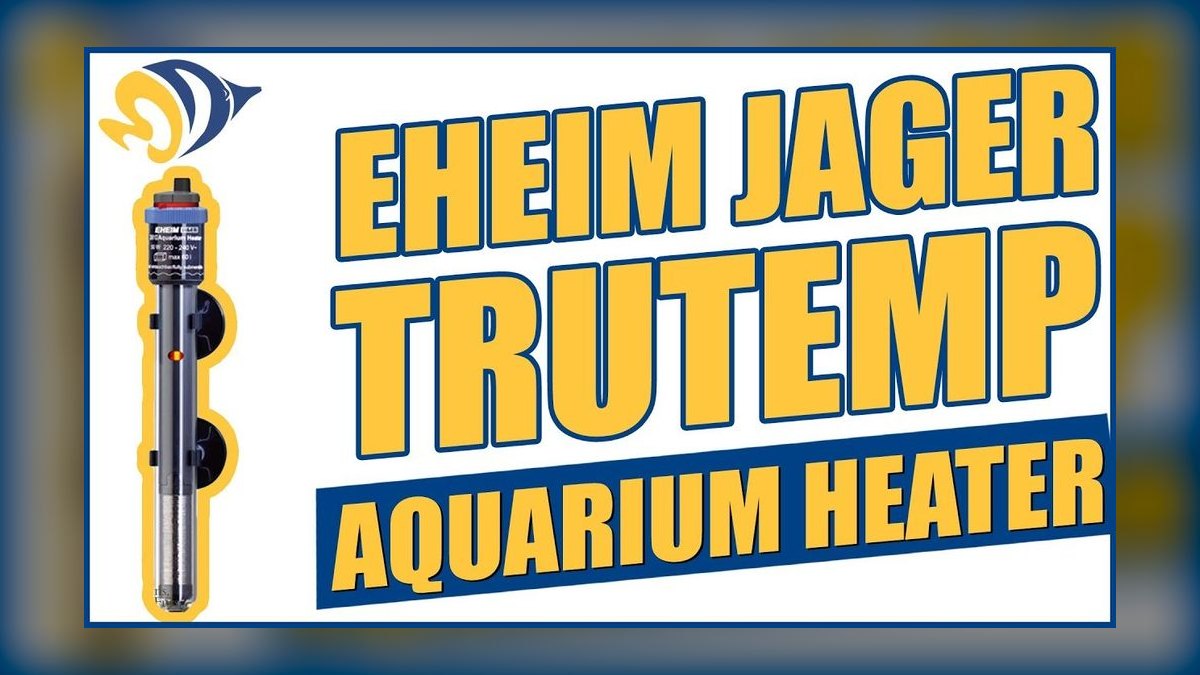 Top 10 Aquarium Heaters in 2027 — figure 1