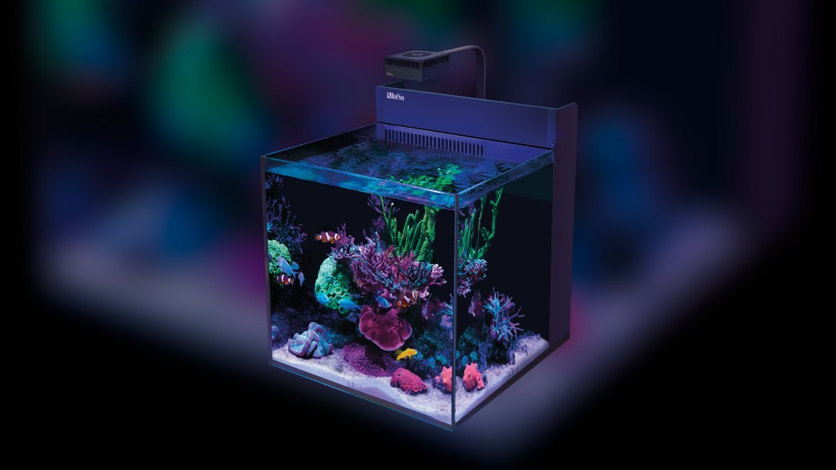 Top 10 Nano Reef Tanks in 2027 — figure 1