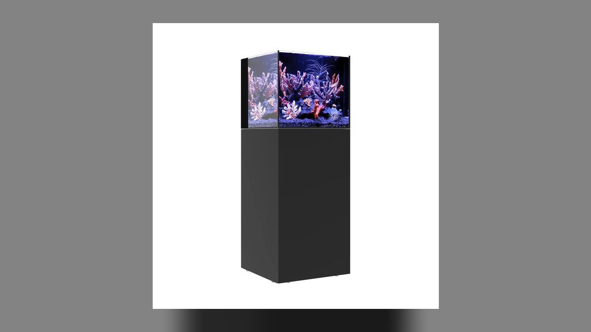 Top 10 Nano Reef Tanks in 2027 — figure 2