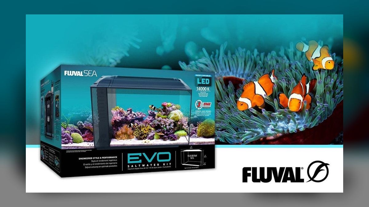 Top 10 Nano Reef Tanks in 2027 — figure 3