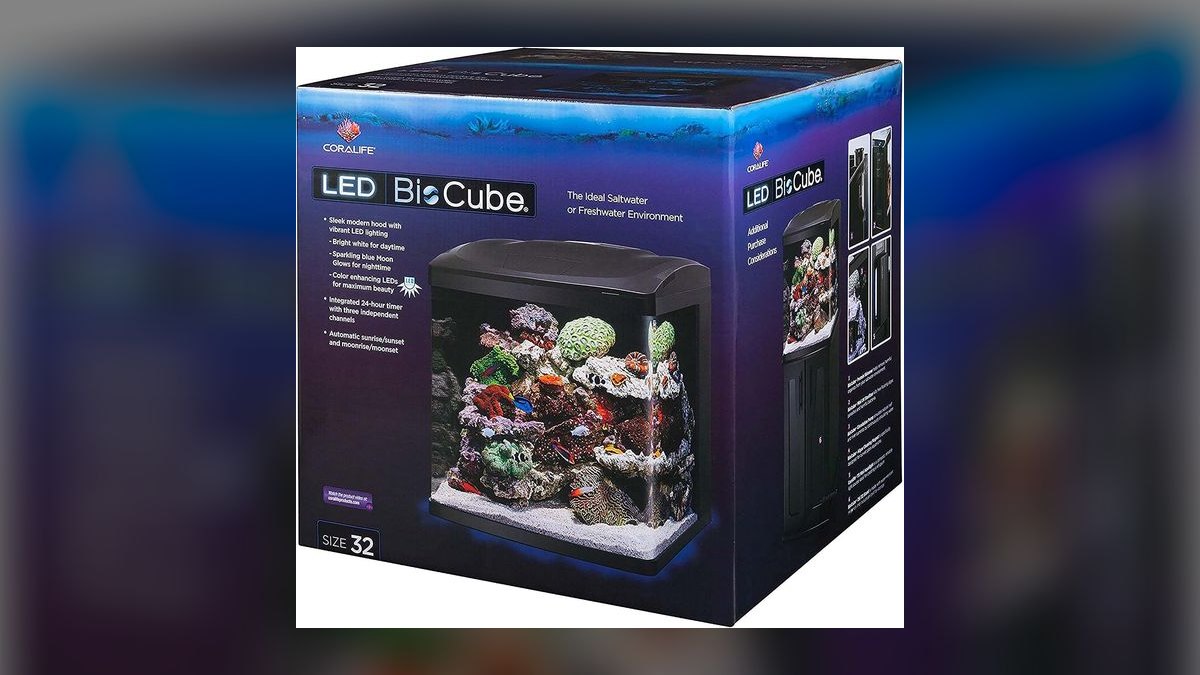 Top 10 Nano Reef Tanks in 2027 — figure 5