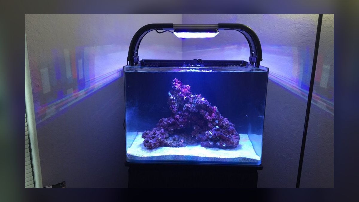 Top 10 Nano Reef Tanks in 2027 — figure 7