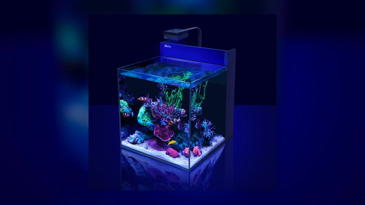 Top 10 Nano Reef Tanks in 2027 — figure 9