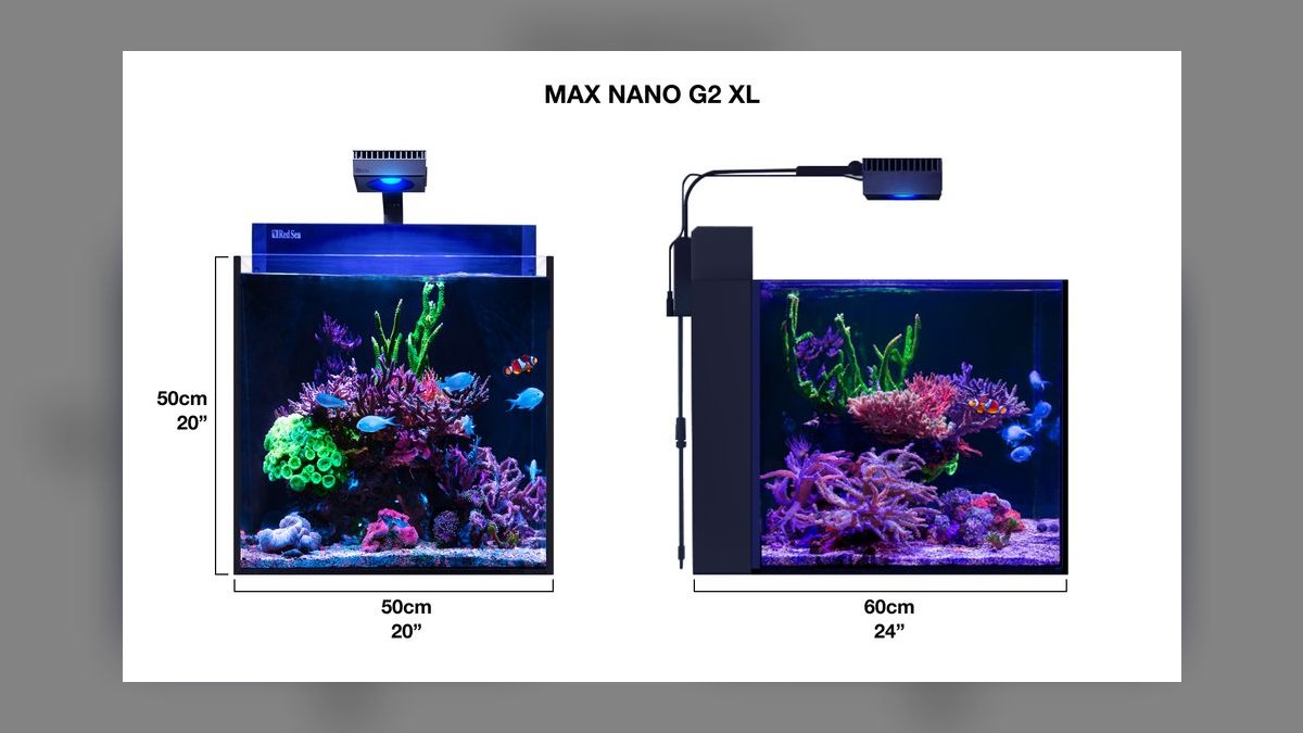 Top 10 Nano Reef Tanks in 2027