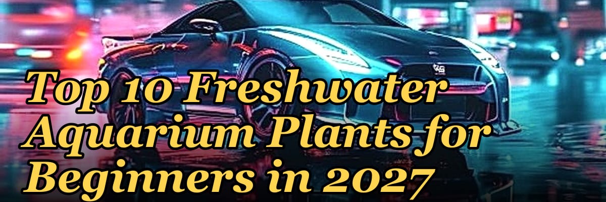 Top 10 Freshwater Aquarium Plants for Beginners in 2027