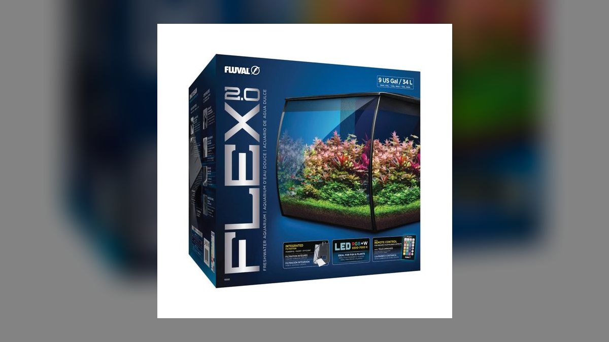 Top 10 Betta Fish Tank Setups in 2027 — figure 1