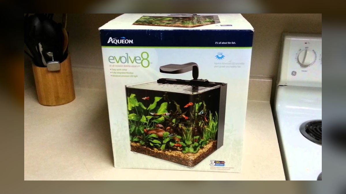 Top 10 Betta Fish Tank Setups in 2027 — figure 2