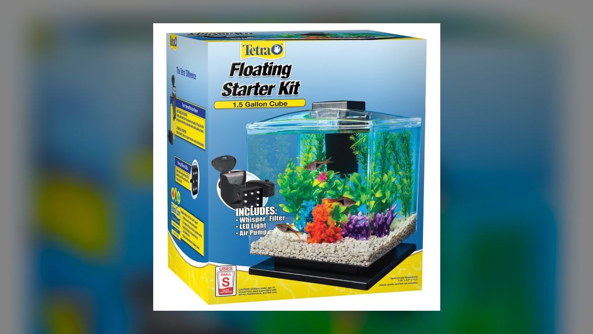 Top 10 Betta Fish Tank Setups in 2027 — figure 3