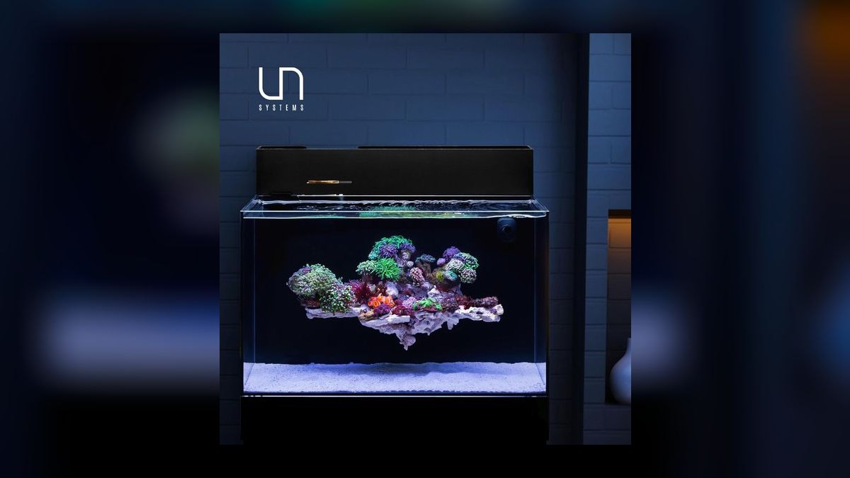 Top 10 Betta Fish Tank Setups in 2027 — figure 7