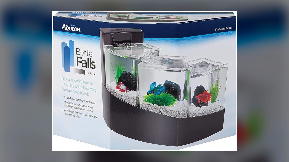 Top 10 Betta Fish Tank Setups in 2027 — figure 9