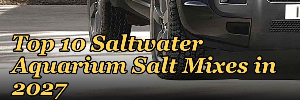 Top 10 Saltwater Aquarium Salt Mixes in 2027
