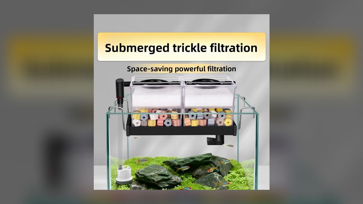 Top 10 Shrimp-Safe Aquarium Filters in 2027 — figure 7