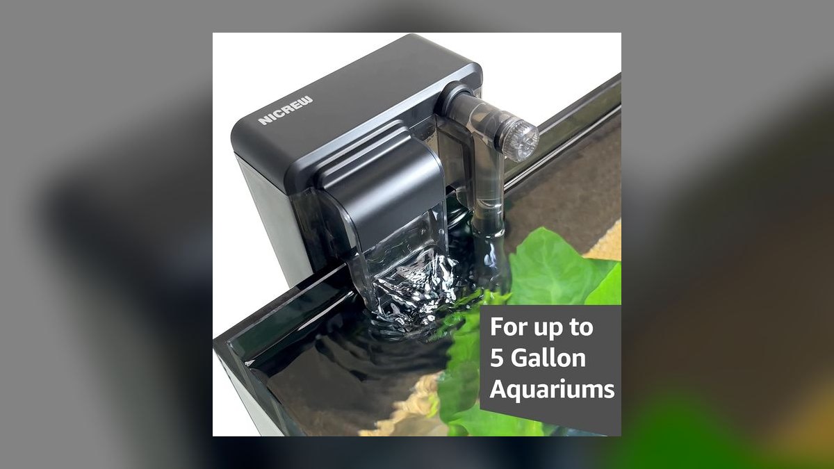 Top 10 Shrimp-Safe Aquarium Filters in 2027 — figure 8