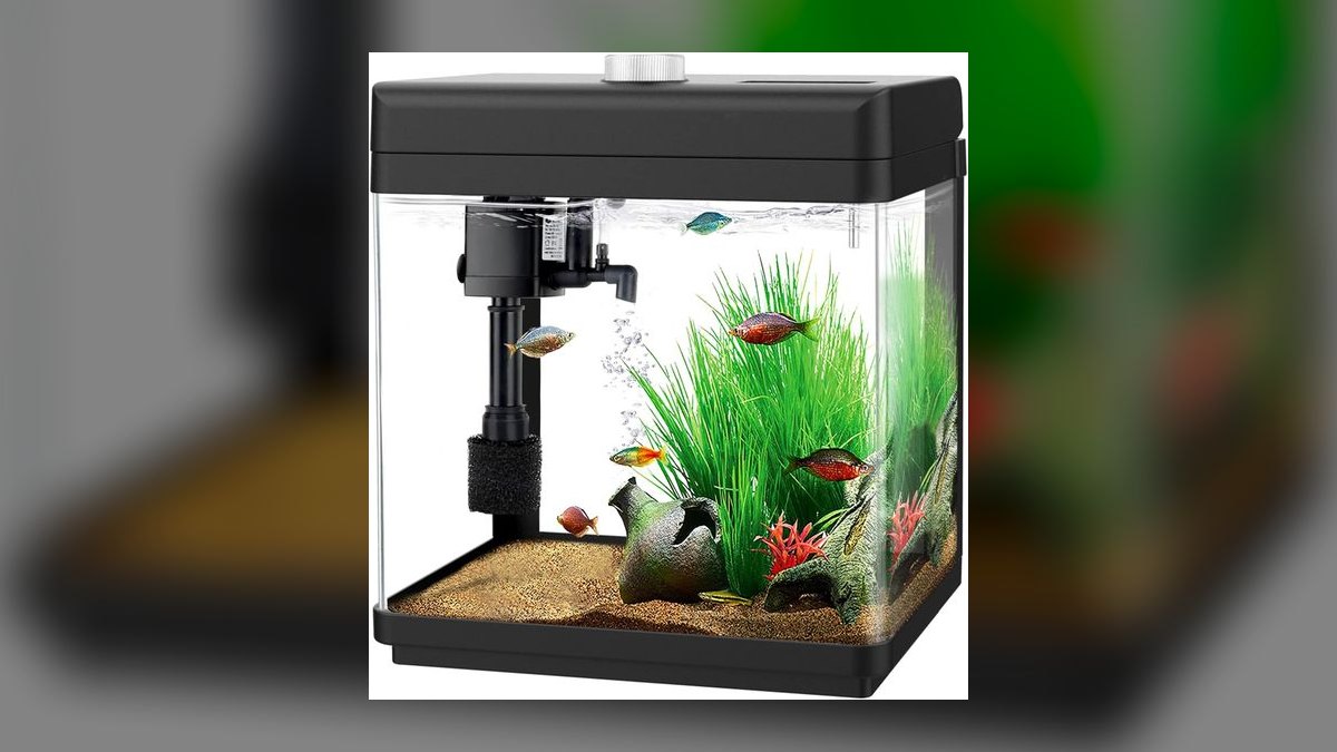 Top 10 Nano Aquarium Kits in 2027 — figure 6