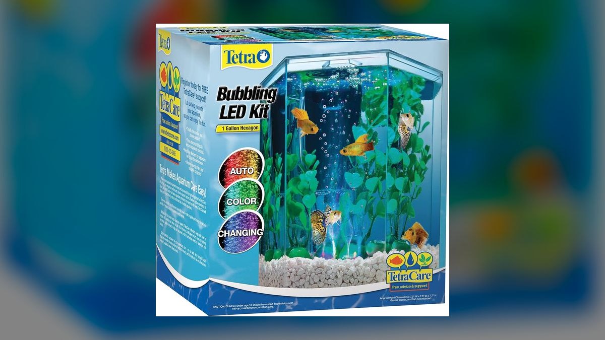 Top 10 Nano Aquarium Kits in 2027 — figure 8