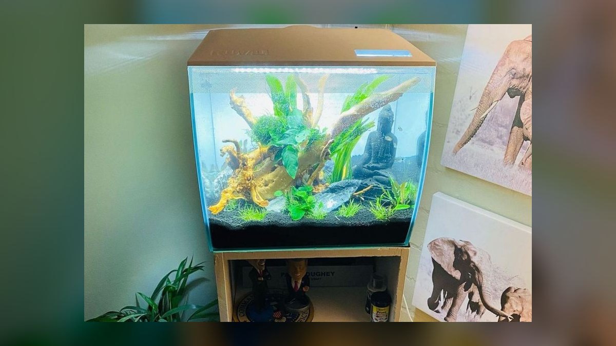 Top 10 Nano Aquarium Kits in 2027