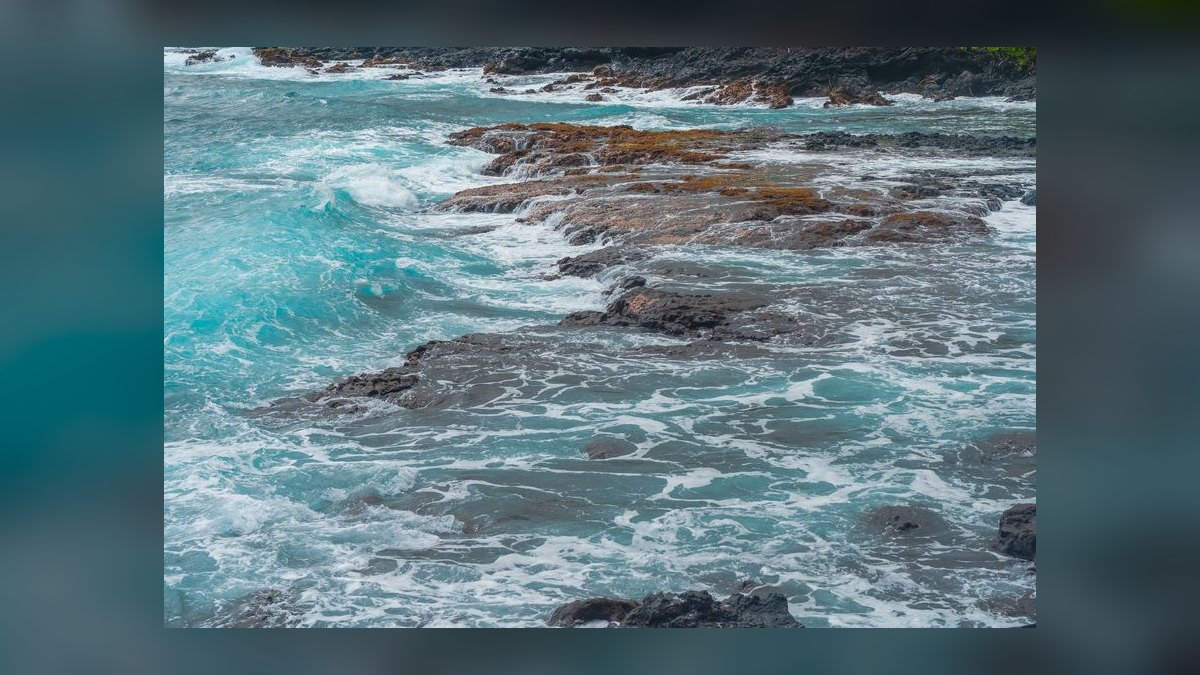 Top 10 Live Rock Options for Reef Tanks in 2027 — figure 1