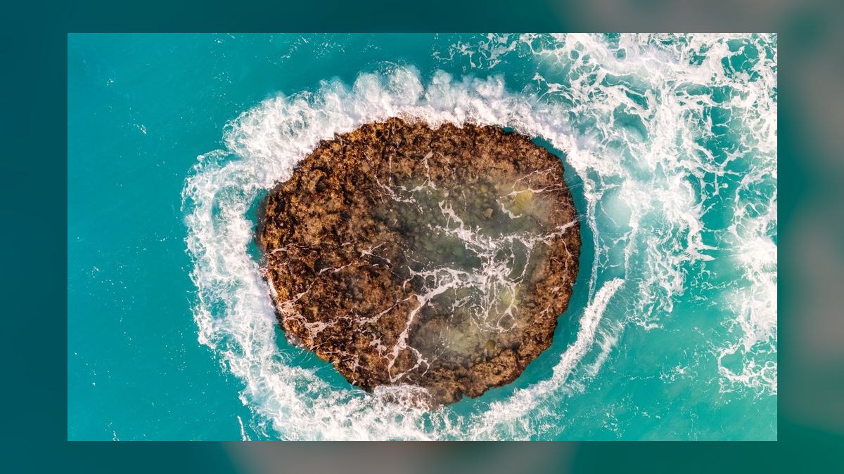 Top 10 Live Rock Options for Reef Tanks in 2027 — figure 10