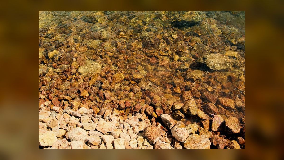 Top 10 Live Rock Options for Reef Tanks in 2027 — figure 4