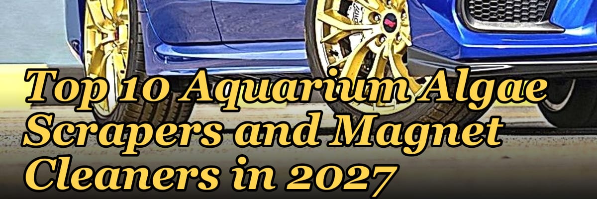 Top 10 Aquarium Algae Scrapers and Magnet Cleaners in 2027