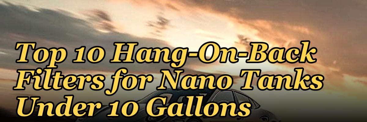 Top 10 Hang-On-Back Filters for Nano Tanks Under 10 Gallons