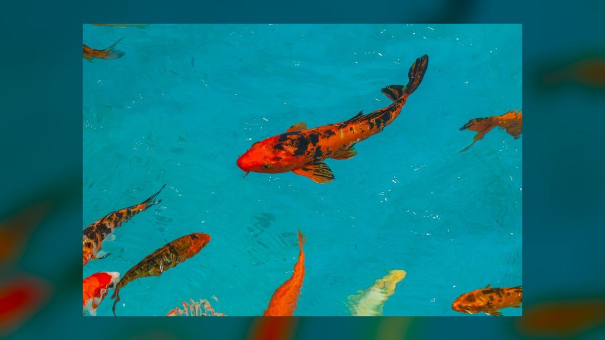 Top 10 UV Sterilizers for Clearing Green Water in Ponds and Tanks in 2027 — figure 7