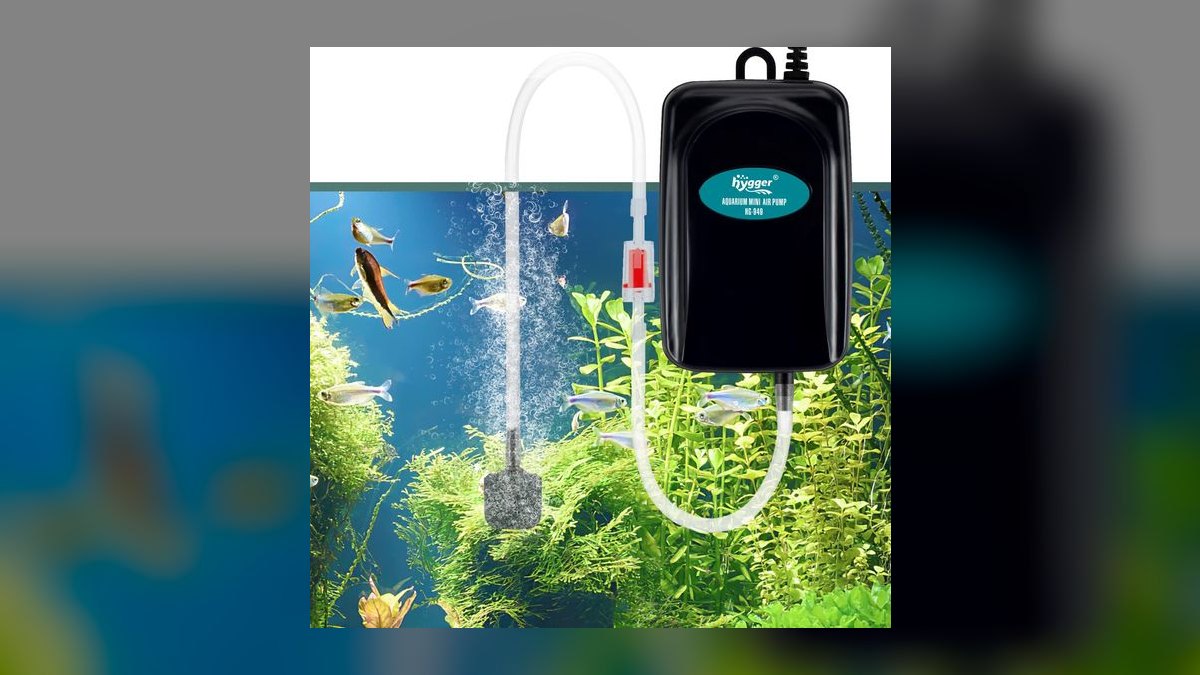 Top 10 Aquarium Air Pumps for High-Output Sponge Filters in 2027 — figure 2