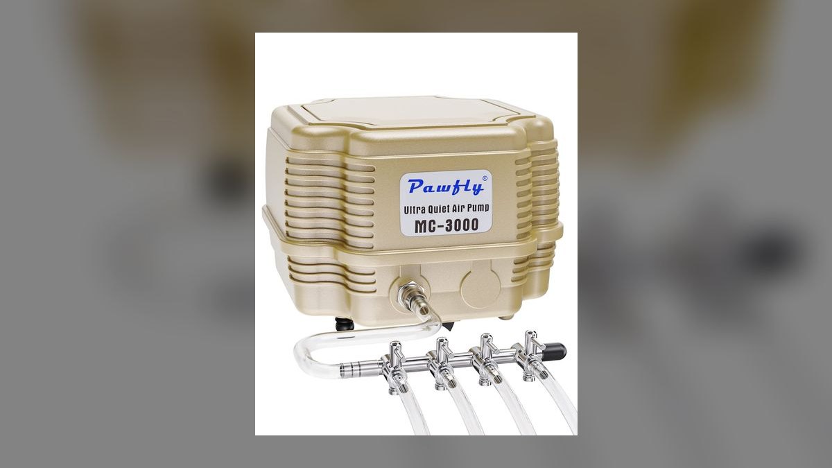 Top 10 Aquarium Air Pumps for High-Output Sponge Filters in 2027 — figure 8