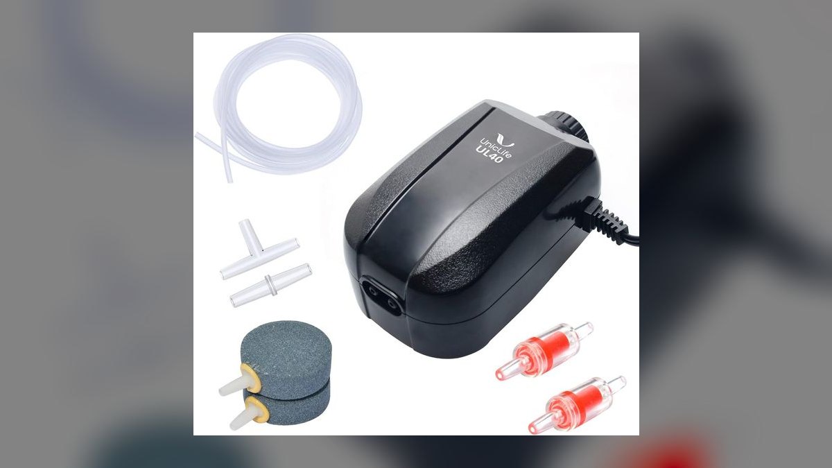 Top 10 Aquarium Air Pumps for High-Output Sponge Filters in 2027