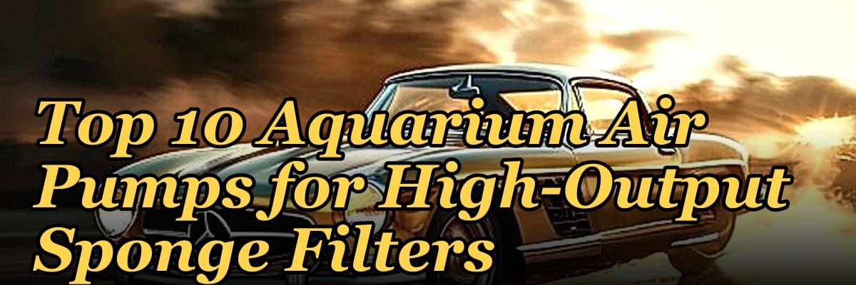 Top 10 Aquarium Air Pumps for High-Output Sponge Filters