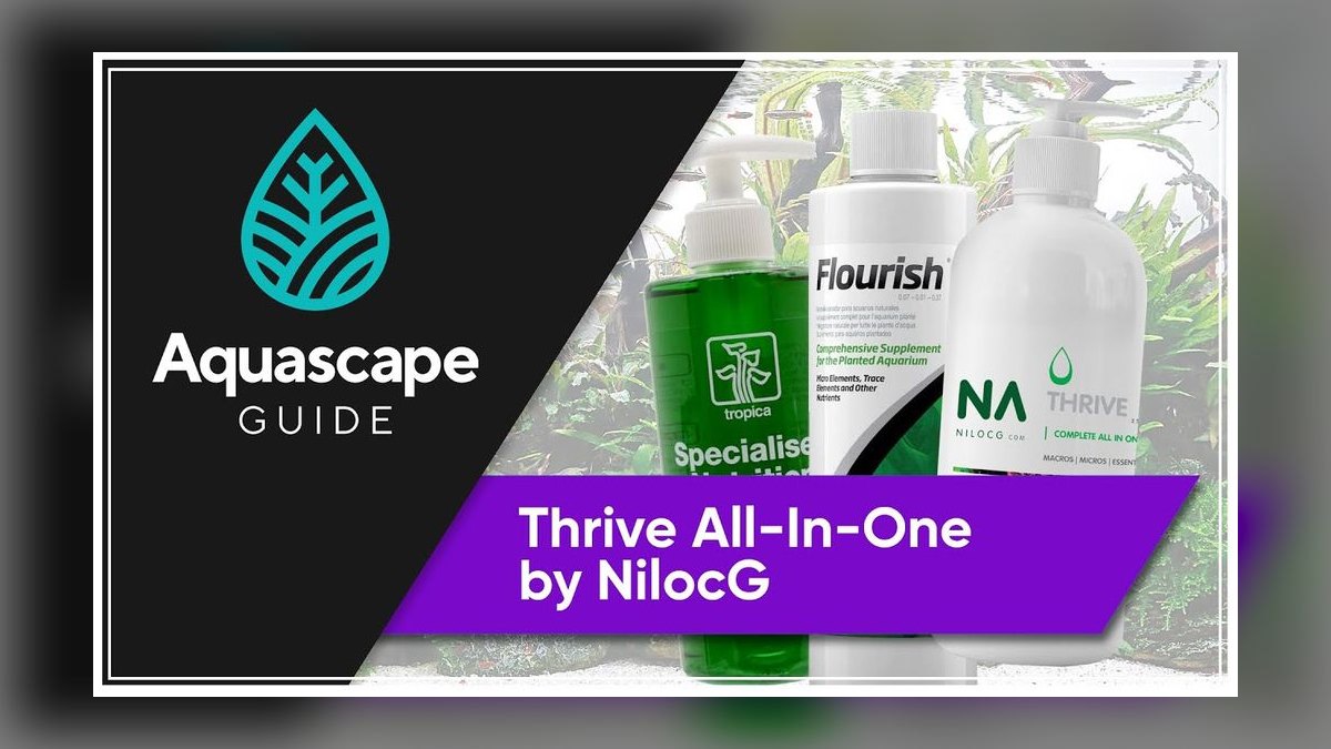 Top 10 Aquarium Plant Fertilizers for Root Tabs and Liquid Dosing in 2027 — figure 3
