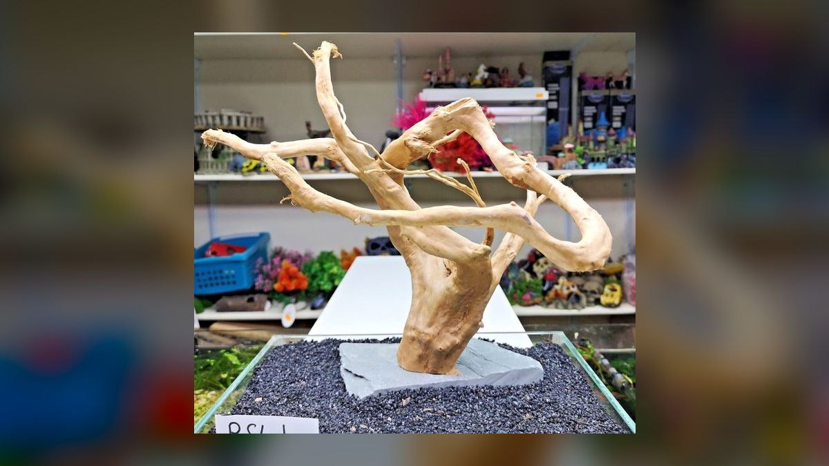 Top 10 Types of Aquarium Driftwood for Blackwater Biotopes in 2027 — figure 7