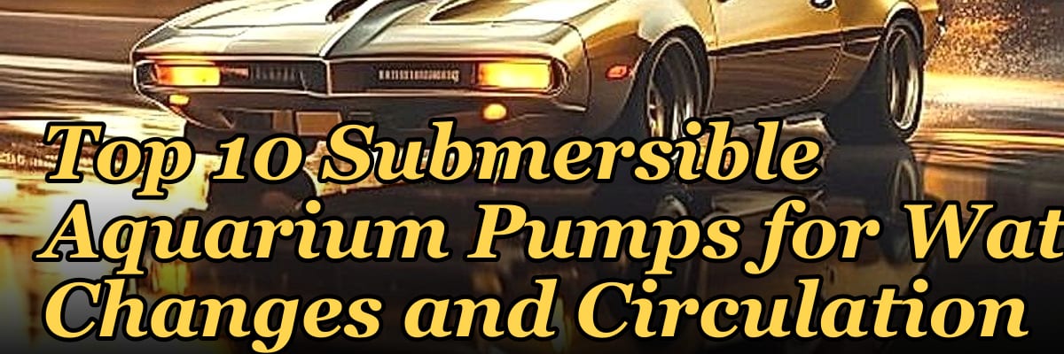 Top 10 Submersible Aquarium Pumps for Water Changes and Circulation