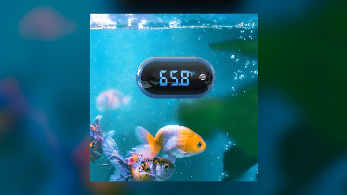 Top 10 Aquarium Thermometers (Digital and Analog) for Accuracy — figure 10